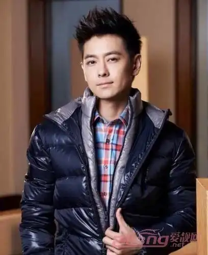 林志颖的发型叫什么