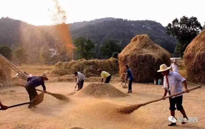 来自单县农村的儿时记忆你还记得吗