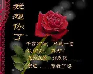 洋洋:亲爱的我想你了