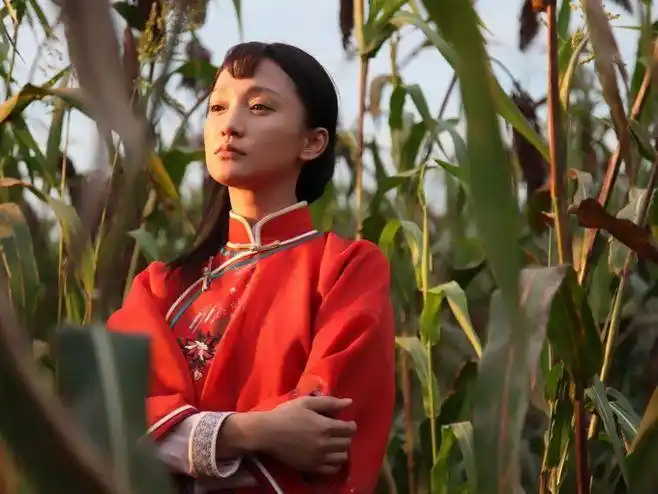 红高粱电视剧全集免费《红高粱》红高粱剧照高清大图红高粱图片高清