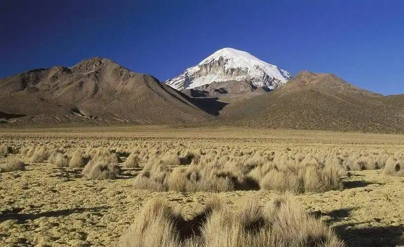 萨哈马火山盐湖边觅食的安第斯火烈鸟,高山之国50玻利维亚诺_卡拉耶塔