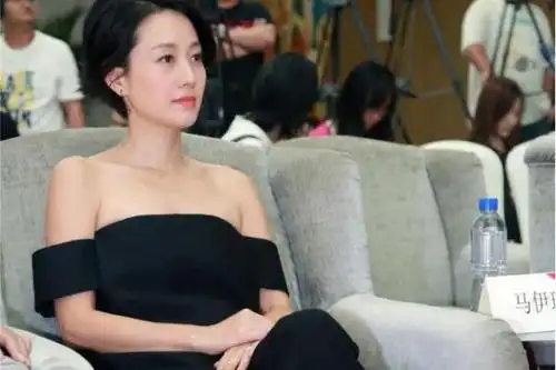 文章马伊琍要生三胎了马伊琍强硬回复没有的事