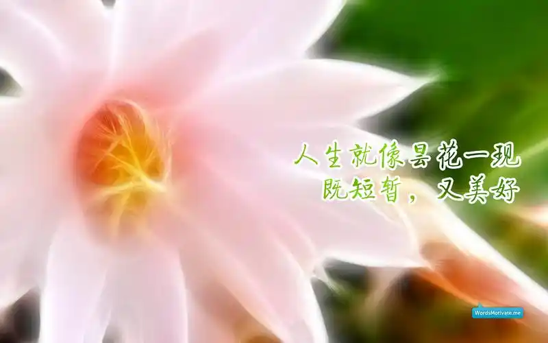 励志壁纸19201200之1721p
