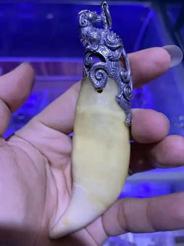 男女保护防裂虎牙吊坠银套狗牙牙齿大号女士项坠