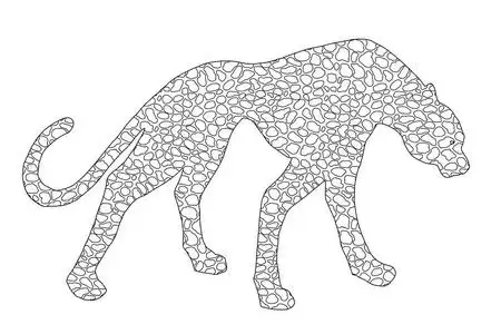 绘制捷豹, 豹子, 野猫, 豹涂鸦轮廓轮廓剪影照片