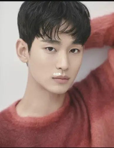 我最爱的韩国男演员之金秀贤