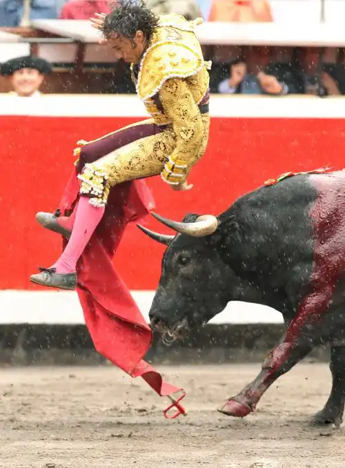 p>西班牙斗牛起源于西班牙古代宗教活动(杀牛供神祭品),13世纪 a