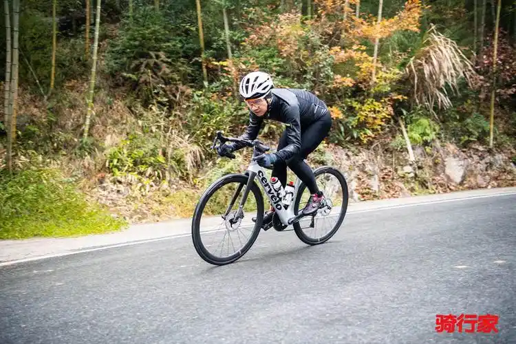 一车走天下 全能型公路车cervelo caledoina-5