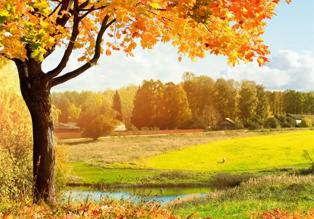 唯美秋景桌面壁纸_美丽养眼的秋天风景