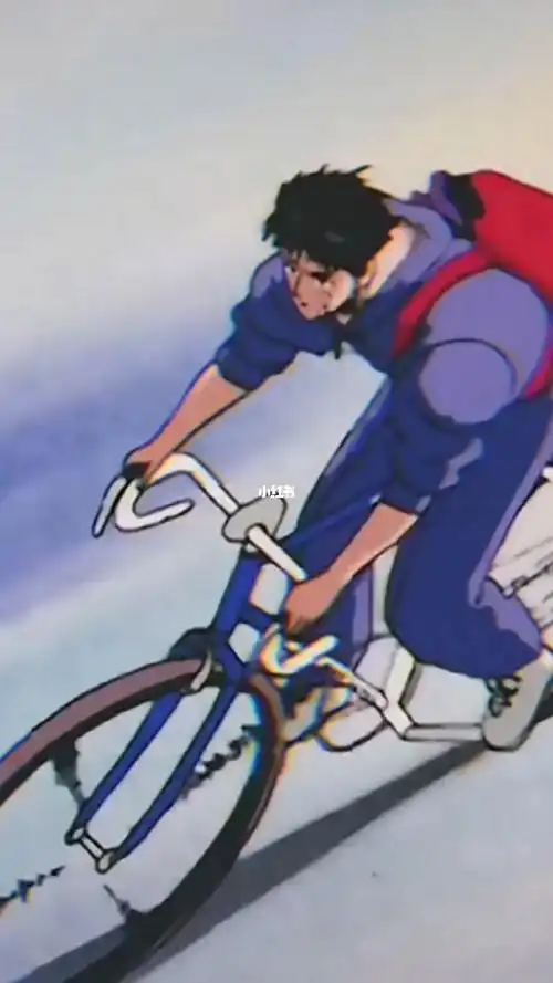 认真的男人最帅流川枫为梦想在努力