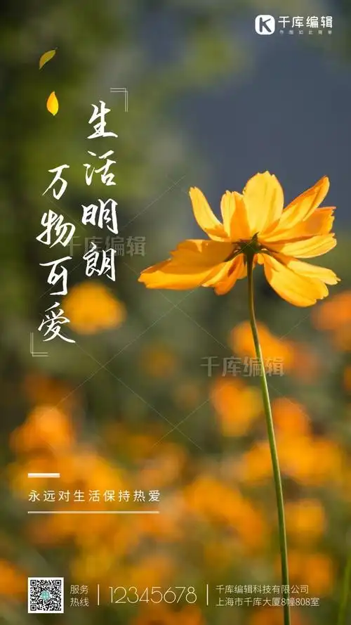 生命明朗万物可爱菊花向日葵努力向上早安日签黄色花朵摄影图海报