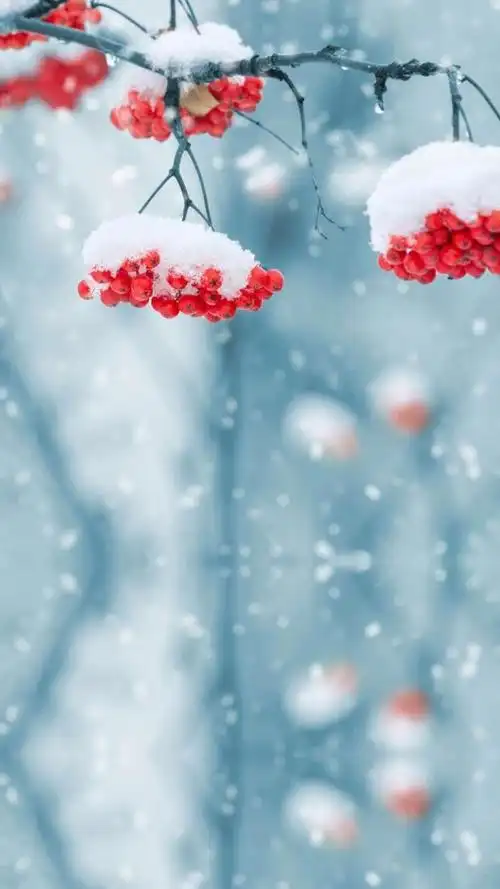 古风唯美图片(唯美古风山水意境插画欣赏) - 天华易学