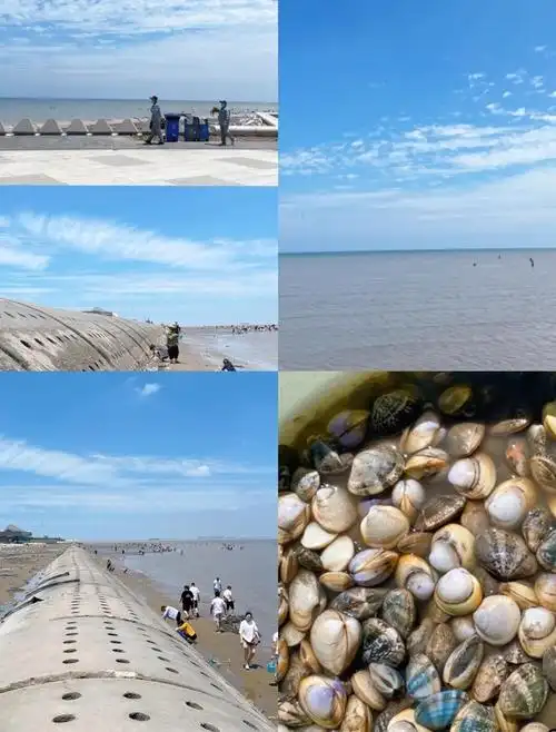 天津海边哪里好玩(天津最全看海攻略) - 三江带