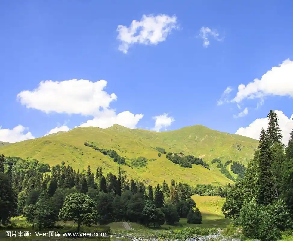 风景如画的自然阳光景观,绿色的高山草甸