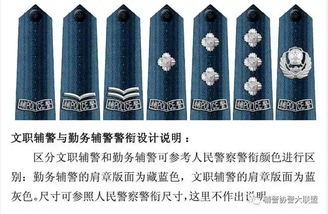 辅警警衔设计,太漂亮!好想来一套