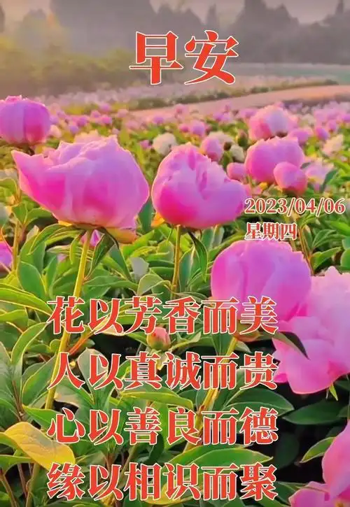 信息,给你快乐的开始;白天随时随地,祝福的短信发给你,开心无比,早安