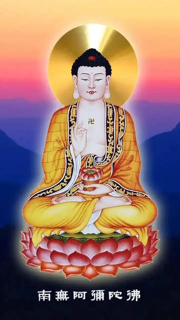 一心归命,极乐世界,阿弥陀佛,愿以净光照我,慈誓摄我,我今正 - 抖音