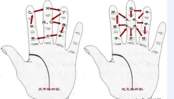 有了这些规则,古人在占算时只需动动手指便可以轻松地将干支,八卦等