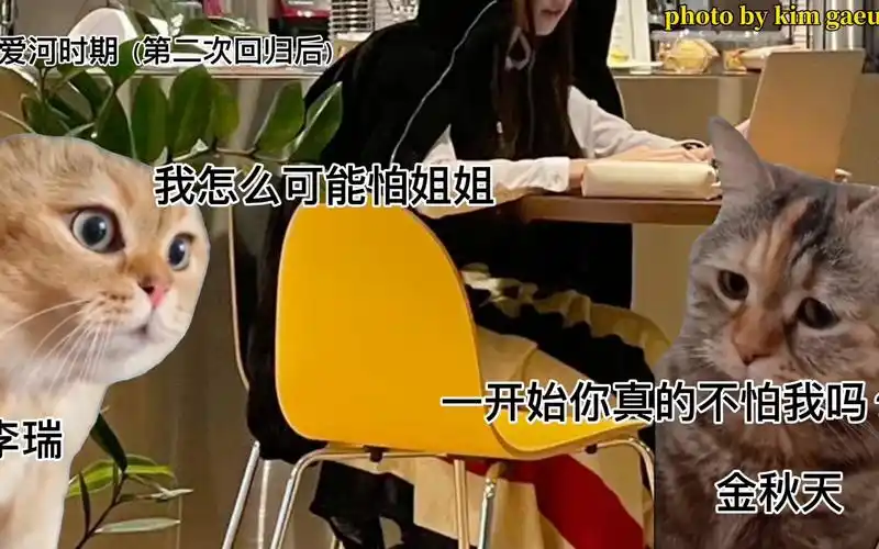 五分钟看完金秋天和李瑞的五年|猫meme