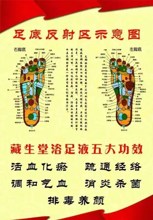 安美足汲告诉您:脚底是人的第二生命 - 安美浴足液