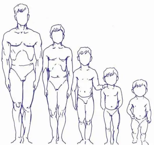 各年龄段身体比例变化