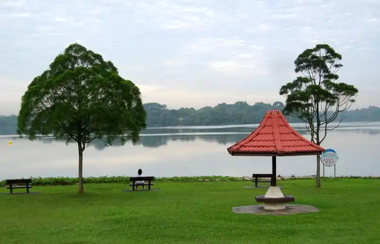 绿色环抱的大自然中 肉香与花香 畅游.