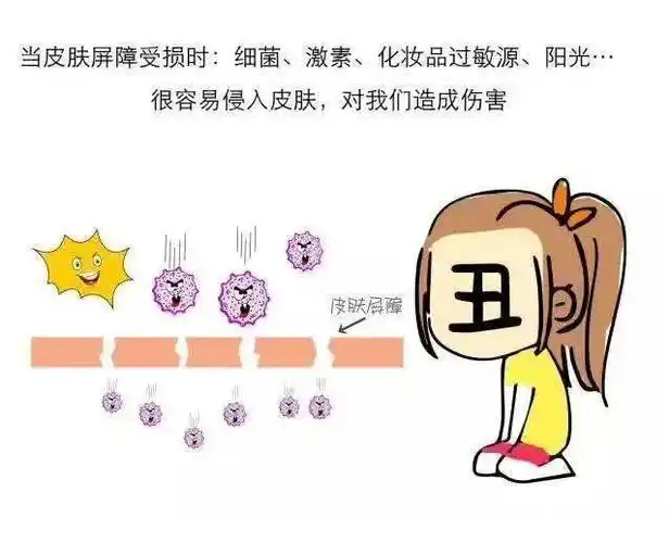 皮肤屏障受损时皮肤有哪些表现该怎么修复