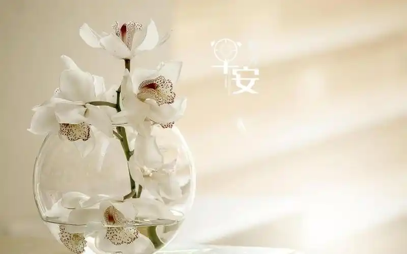 全新早安问候语,高清壁纸图片,非主流-回车桌面