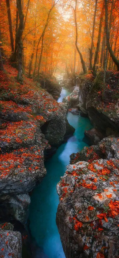 1080_2340竖版 竖屏