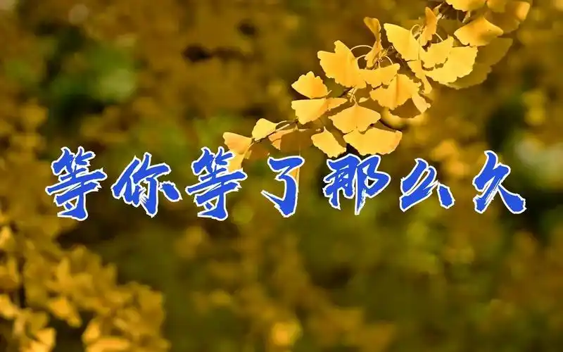 祁隆《等你等了那么久》太深情了伤感情歌,海枯石烂不放手.