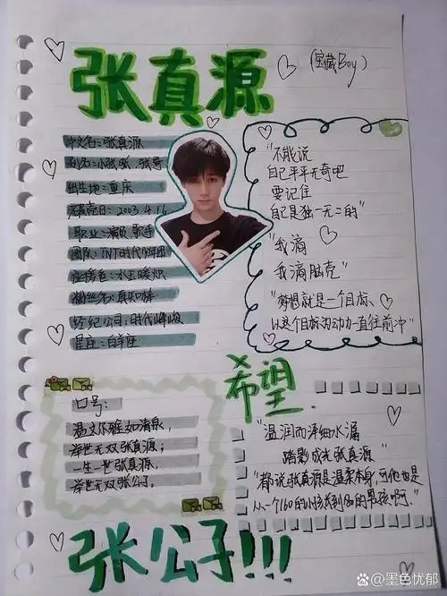 张真源手账
