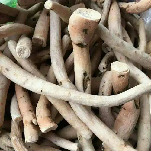 一见起 中药材 苗药 野生100克,250克, 500克 泡酒【益补方】 250克