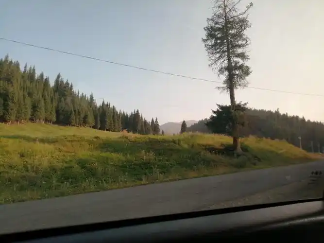 来分享一下我拍的神仙照片呀