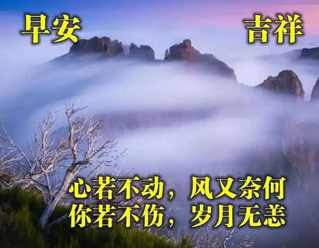 语问候大家早上好动图表情美女2021,清晨祝福早上好问候语温馨语录