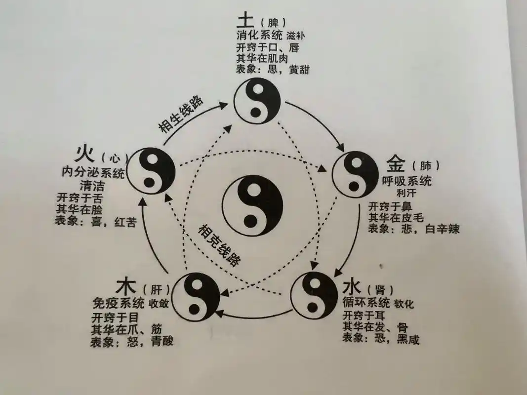 八字五行论疾病