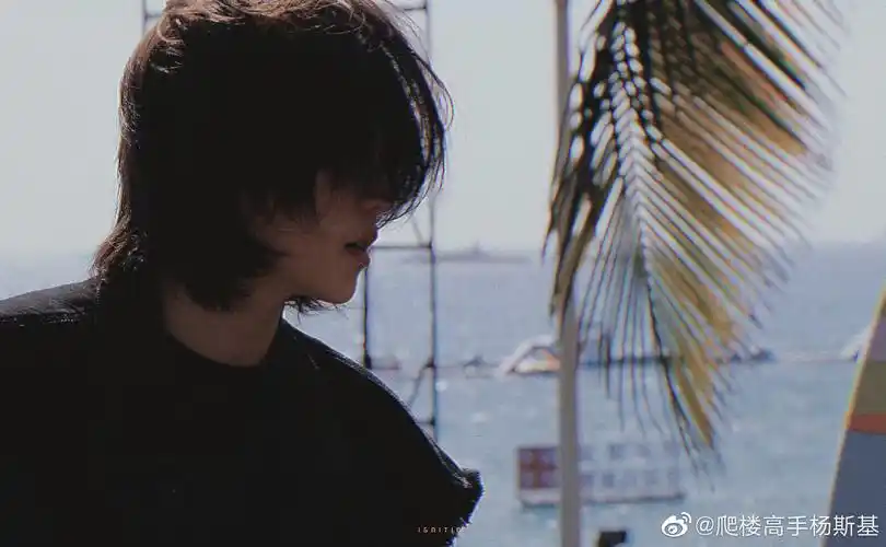 陆柯燃这组饭拍图氛围感太强了有帅到我