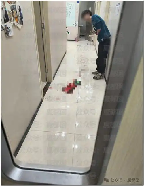 网友们都在安慰:这个事情更加令人关注的就是这块领域现在是真空地带