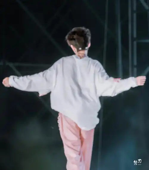 贺峻霖全员加速中##贺峻霖 十九摘星诵捷音#此小猪的快落背影可暗到