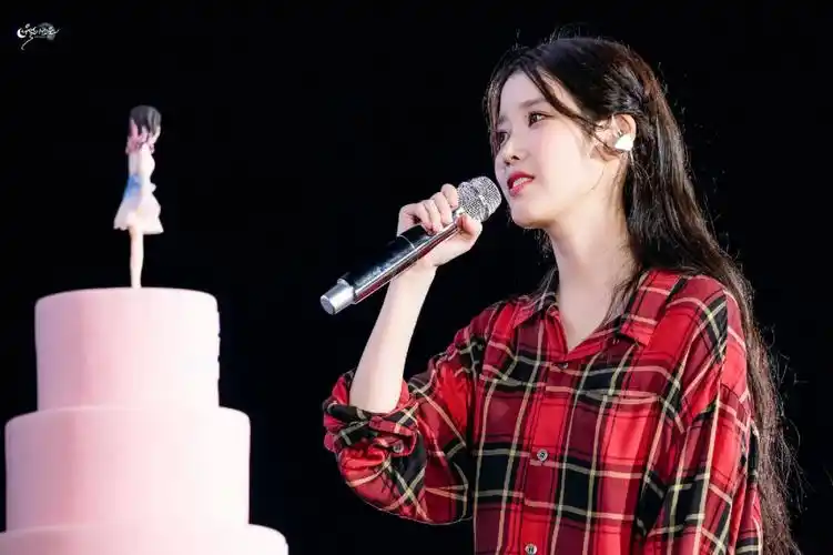 iu演唱会美图