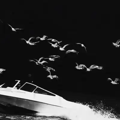 黑白系列_唯美图片_我要个性网