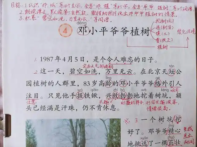 二年级下册邓爷爷植树学生借助图片说情景并积累四字词语