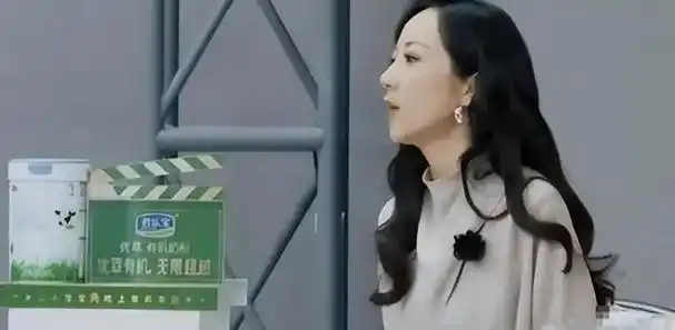 事实证明陈道明说得没错41岁韩雪的现状就是最好的证明