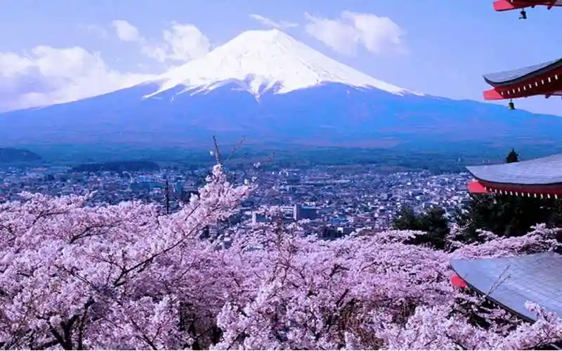 到日本旅游注意事项_到日本旅游注意事项有哪些