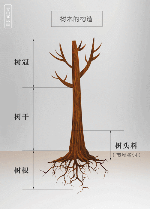 紫檀的树头料到底是什么意思?有什么不一样?