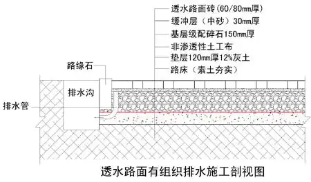 典型的透水砖有组织排水结构