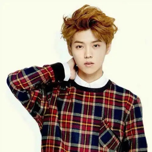 鹿晗原名鹿晗原名真的叫刘大壮吗