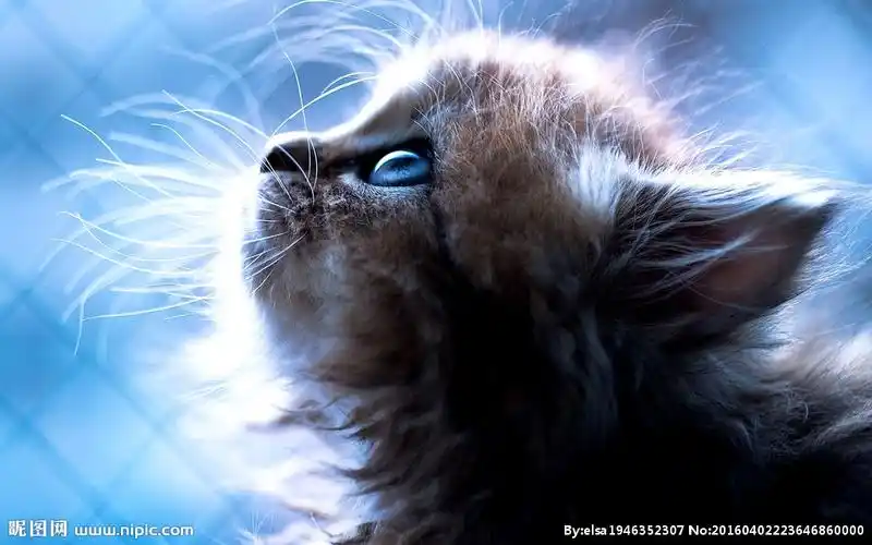 沙漏里 - 堆糖,美图壁纸兴趣社区