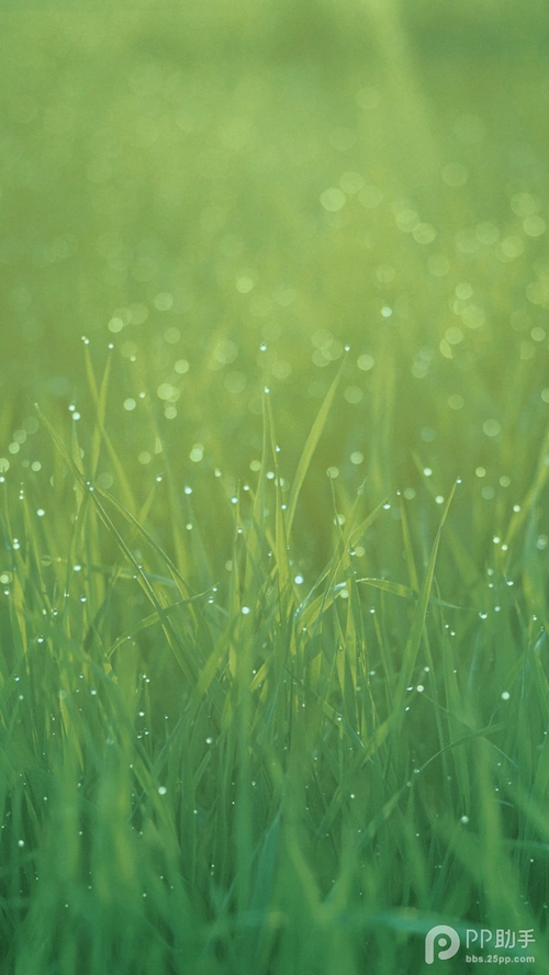 高清手机苹果ios8原生手机壁纸