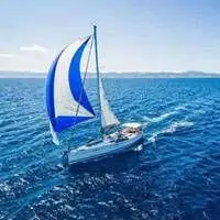 大海帆船鱼的微信头像_微信头像图片大全