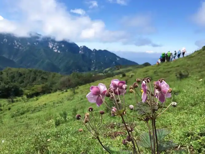 流峪草甸穿越 赏田园风光